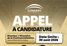 Kakandé Immo recrute un (e) Directeur/Directrice de la Commercialisation pour le Grand Mall de Conakry